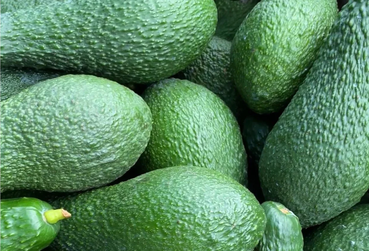 Foto de aguacates